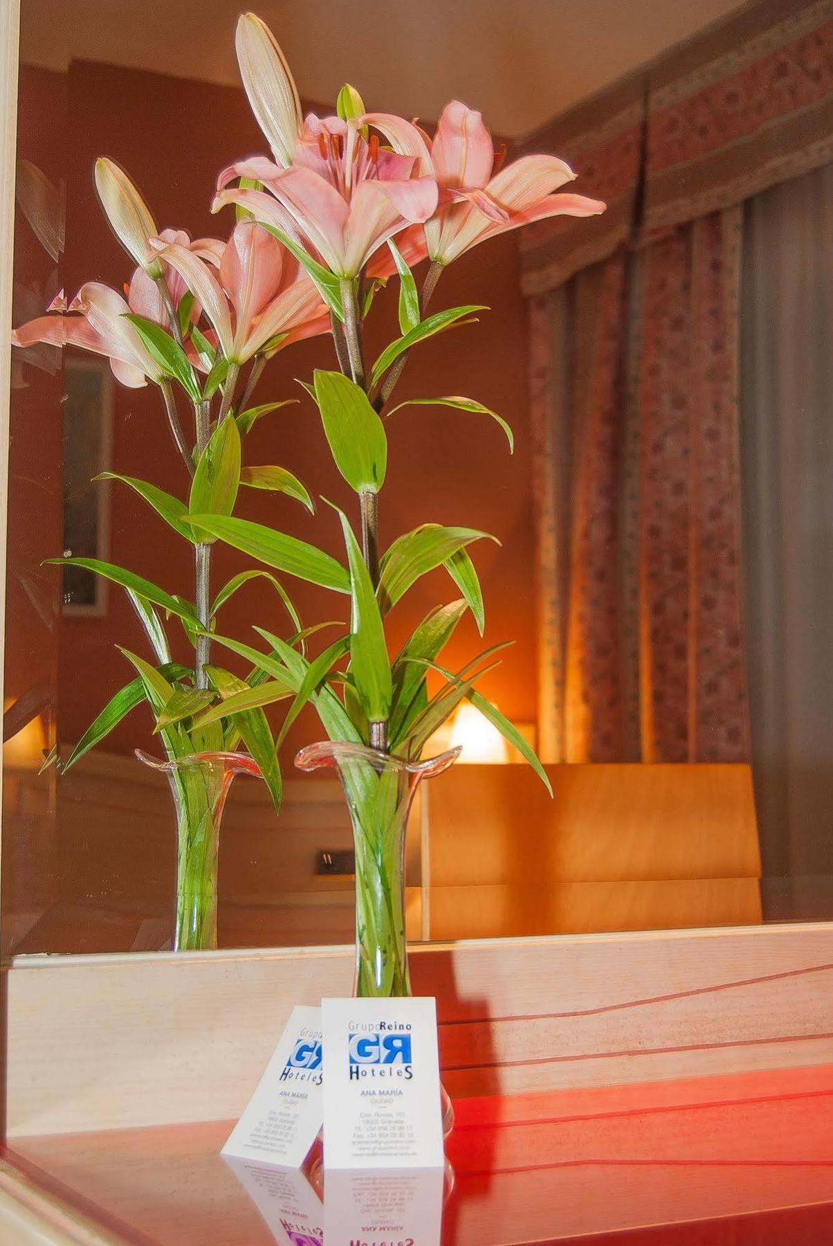 Ana Maria Hotel Granada Ngoại thất bức ảnh